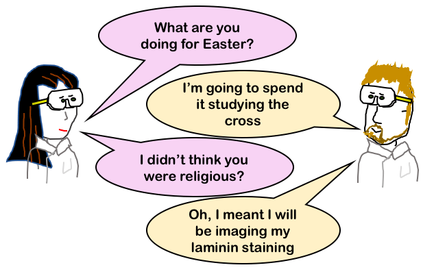 Easter laminins